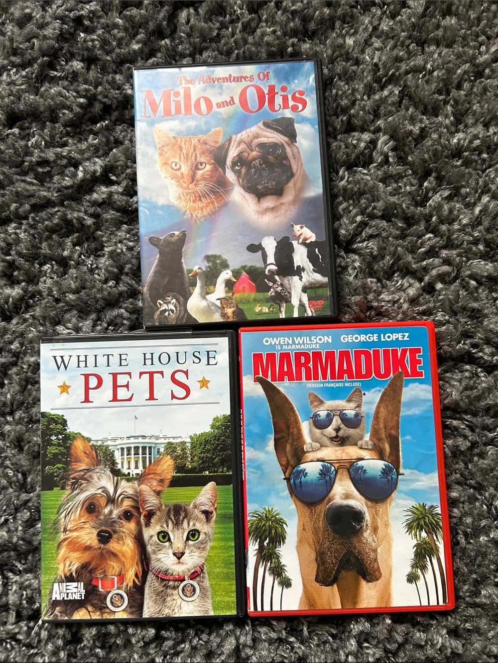 3 DVD Bundle Cats and Dogs